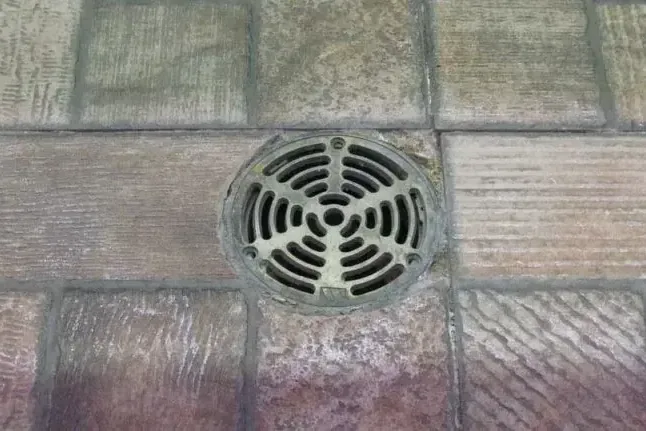 A basement floor drain grate, where a sewer backup usually shows first
